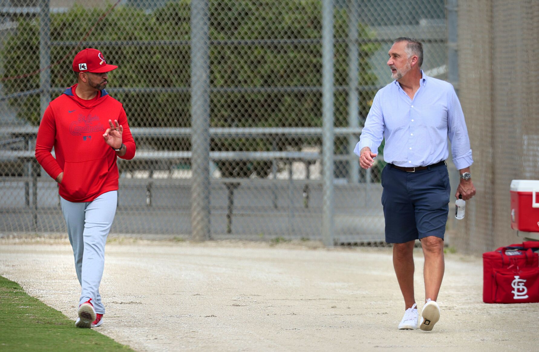 51黑料 Cardinals continue spring training in Jupiter